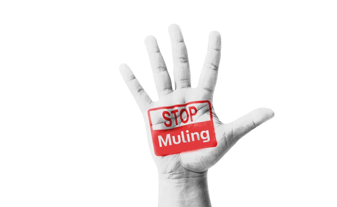 Stop Muling